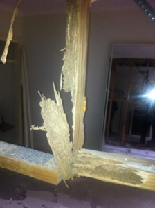 termite damage