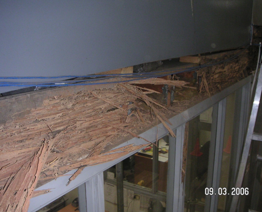 Termite Damage Structural Supports & Beams