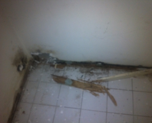 Termite Damaged Floor Skirting