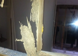 A Window with Termite Damage