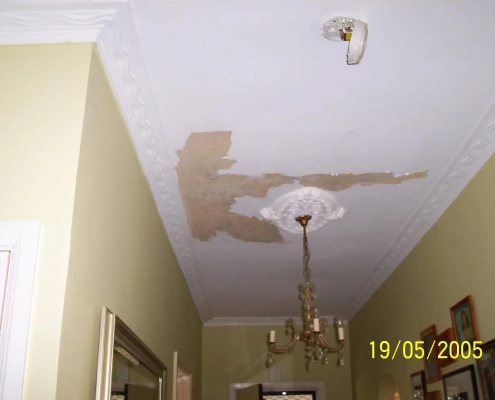 Peeling Paint from Ceiling Surface