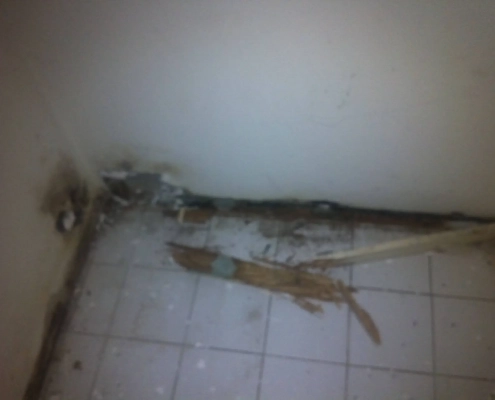 Water Damage