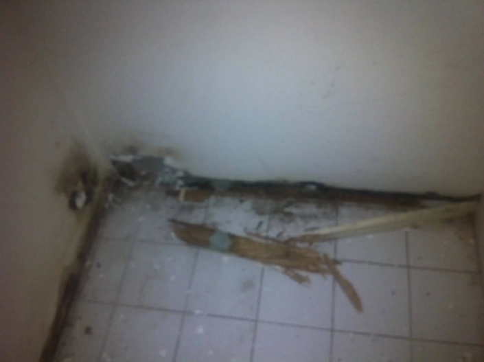 Water Damage